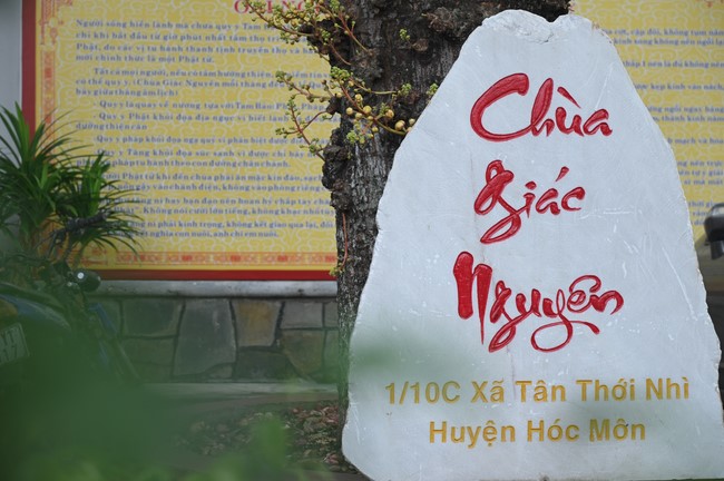 Holding Pravaranà Ceremony of the Director Board (DB) of Hoc Mon district's Vietnam Buddhist Sangha (VBS)